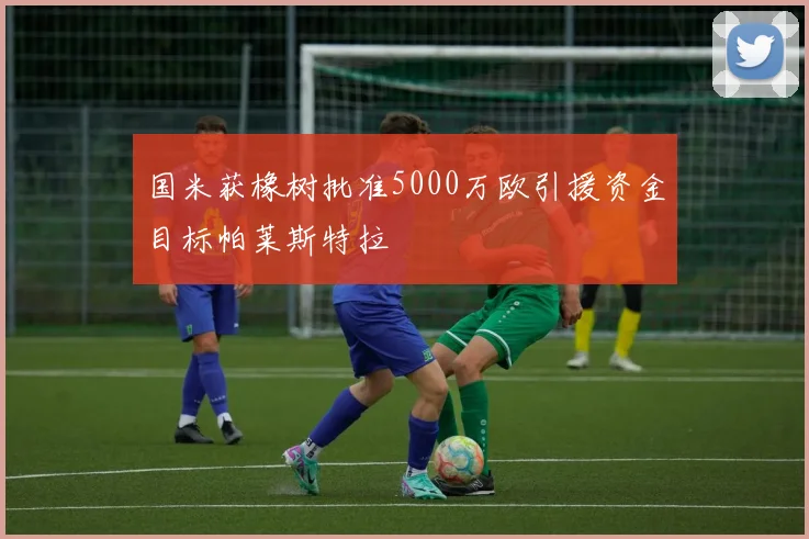 国米获橡树批准5000万欧引援资金目标帕莱斯特拉